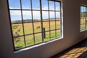 A room with large windows offering a view of a field with grazing animals.