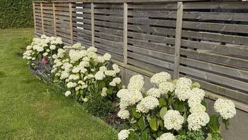 A garden with white flowers and a wooden fence.
