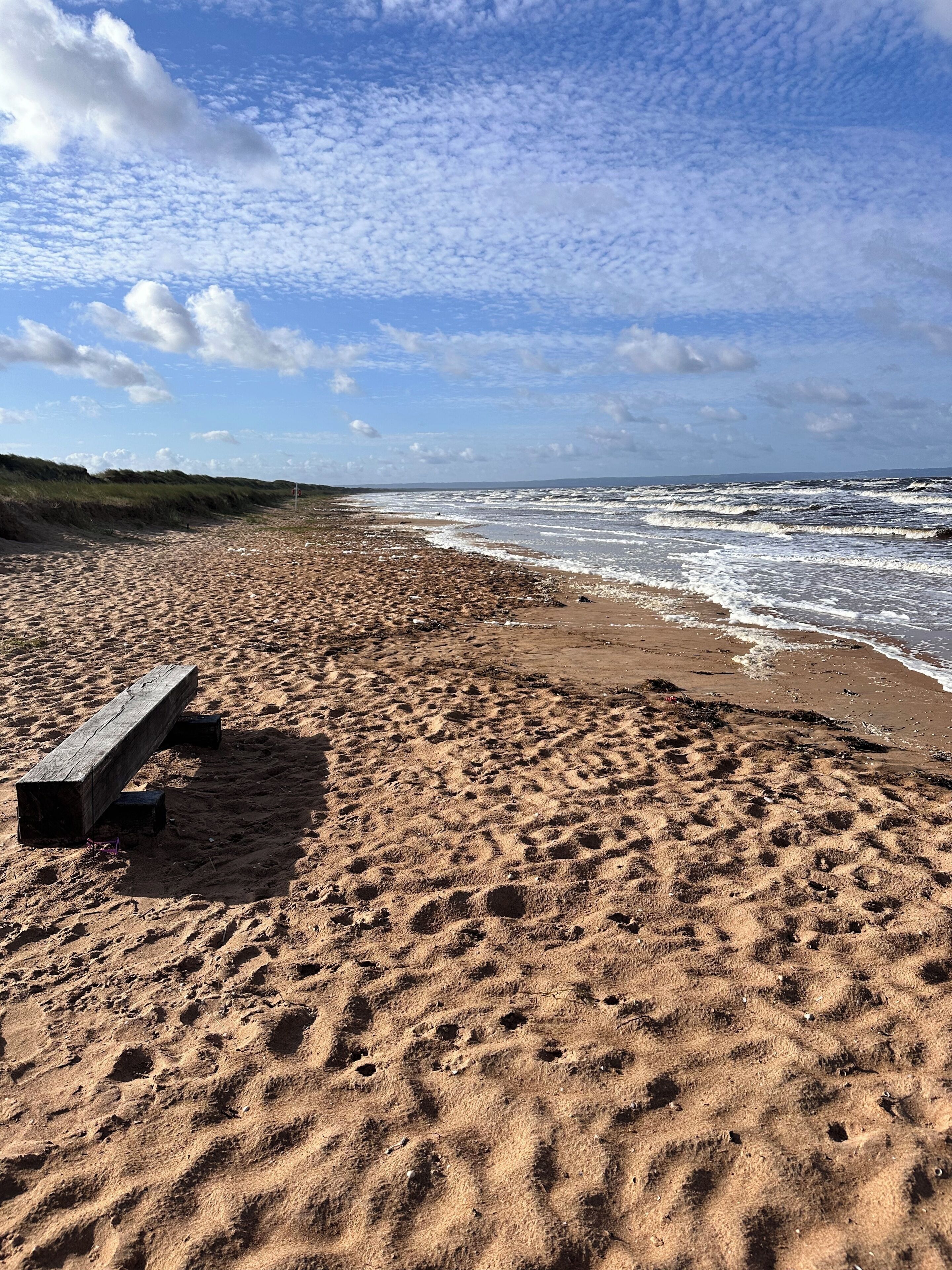 A sandy beach with a wooden bench and waves in the background.