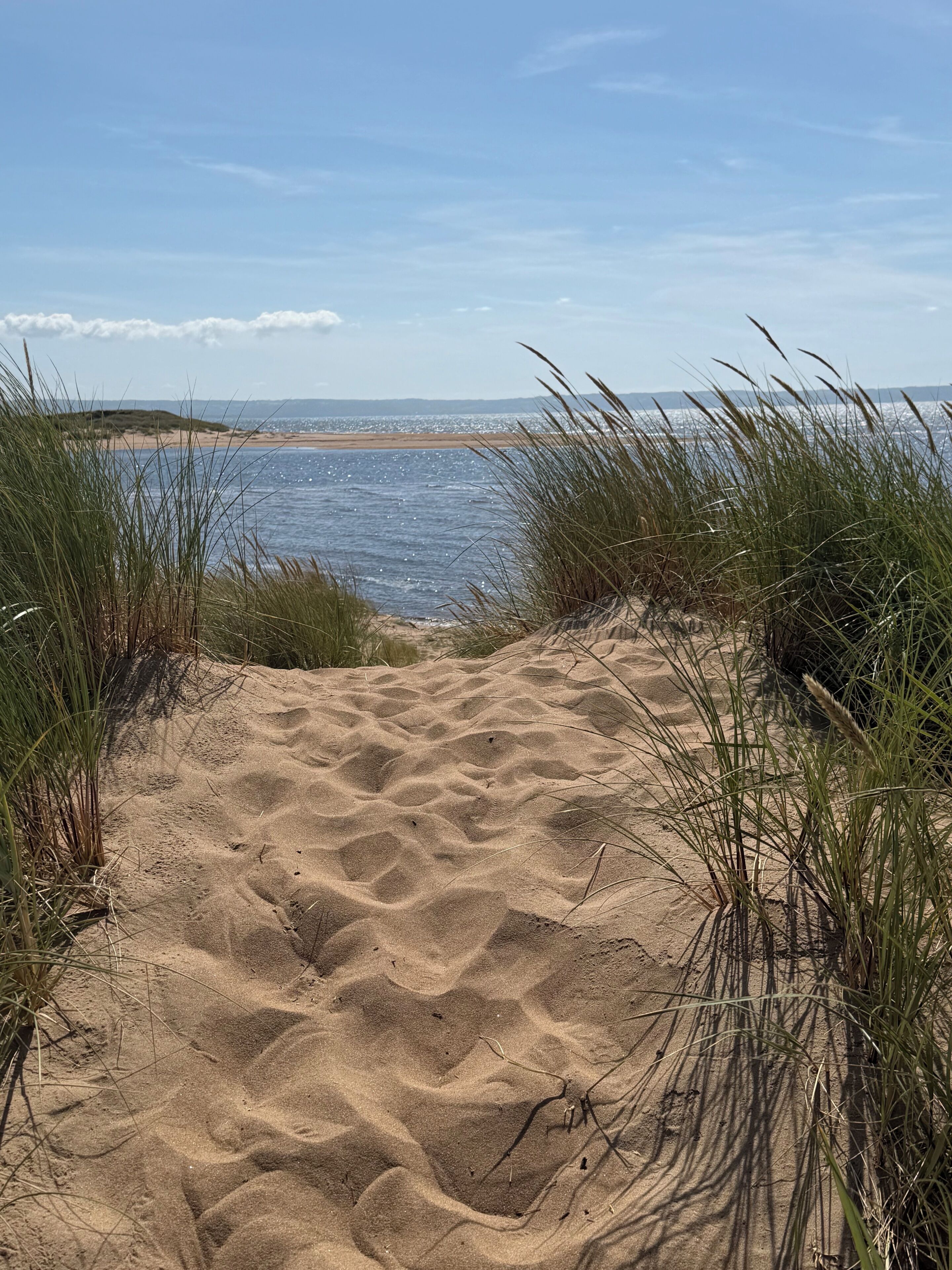 Un sentier de sable qui longe la plage et mène à la mer, avec de l’herbe de chaque côté.