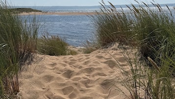 Un sentier de sable qui longe la plage et mène à la mer, avec de l’herbe de chaque côté.