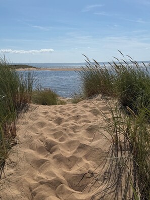 Un sentier de sable qui longe la plage et mène à la mer, avec de l’herbe de chaque côté.