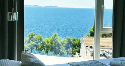 Coral Cove 2