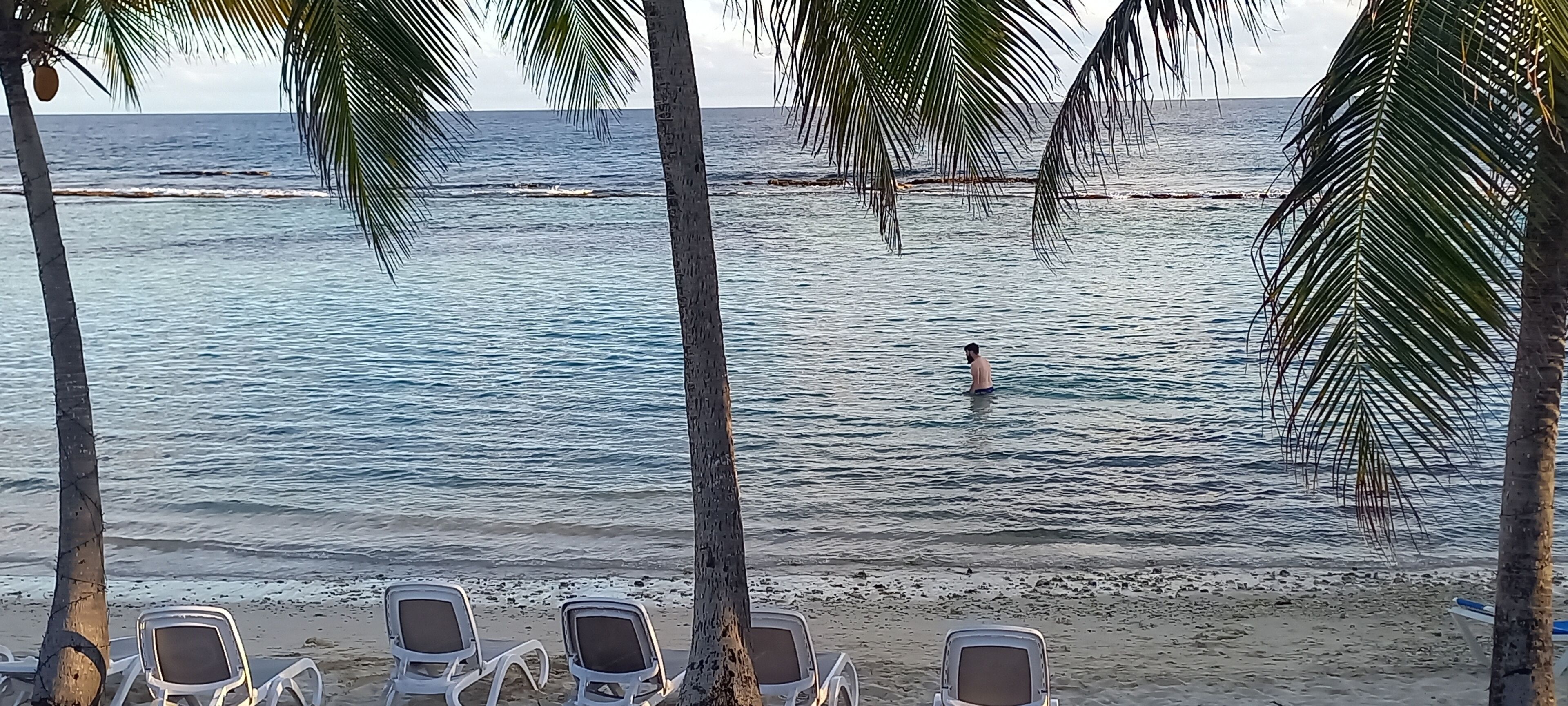 Une plage bordée de palmiers, une mer calme et plusieurs chaises longues vides.