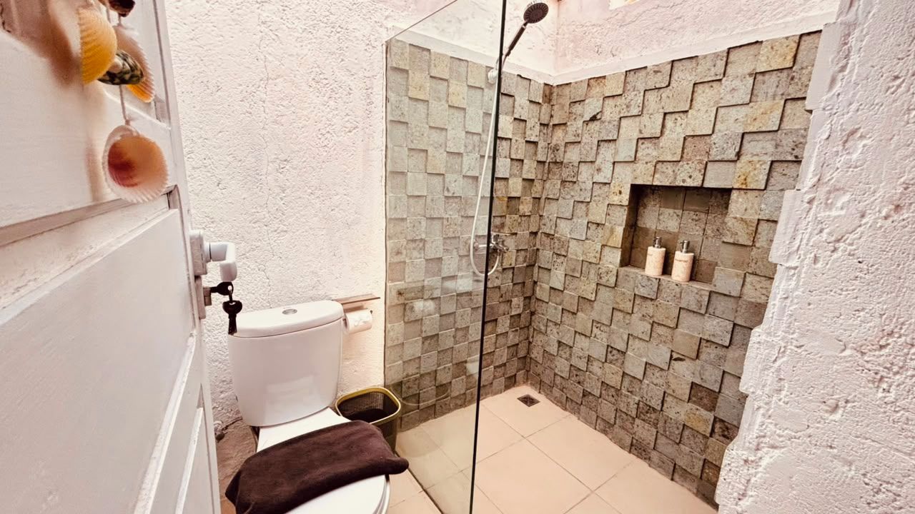 Un baño con ducha de vidrio, inodoro y repisa con artículos de aseo.