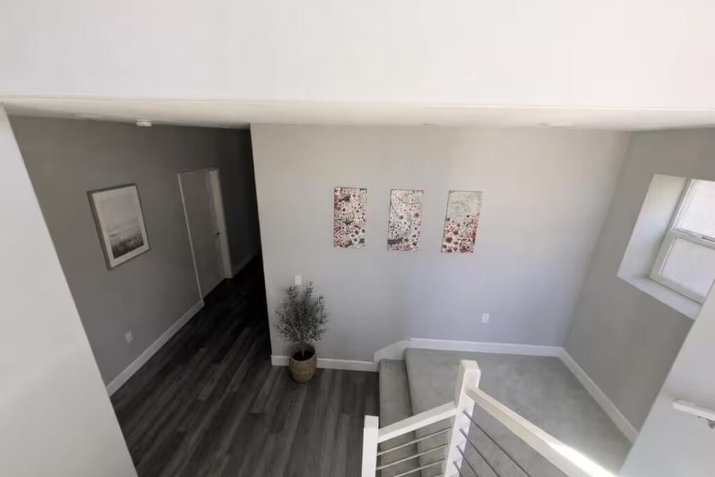 A stairwell with a grey wall, a potted plant, and three framed pictures.