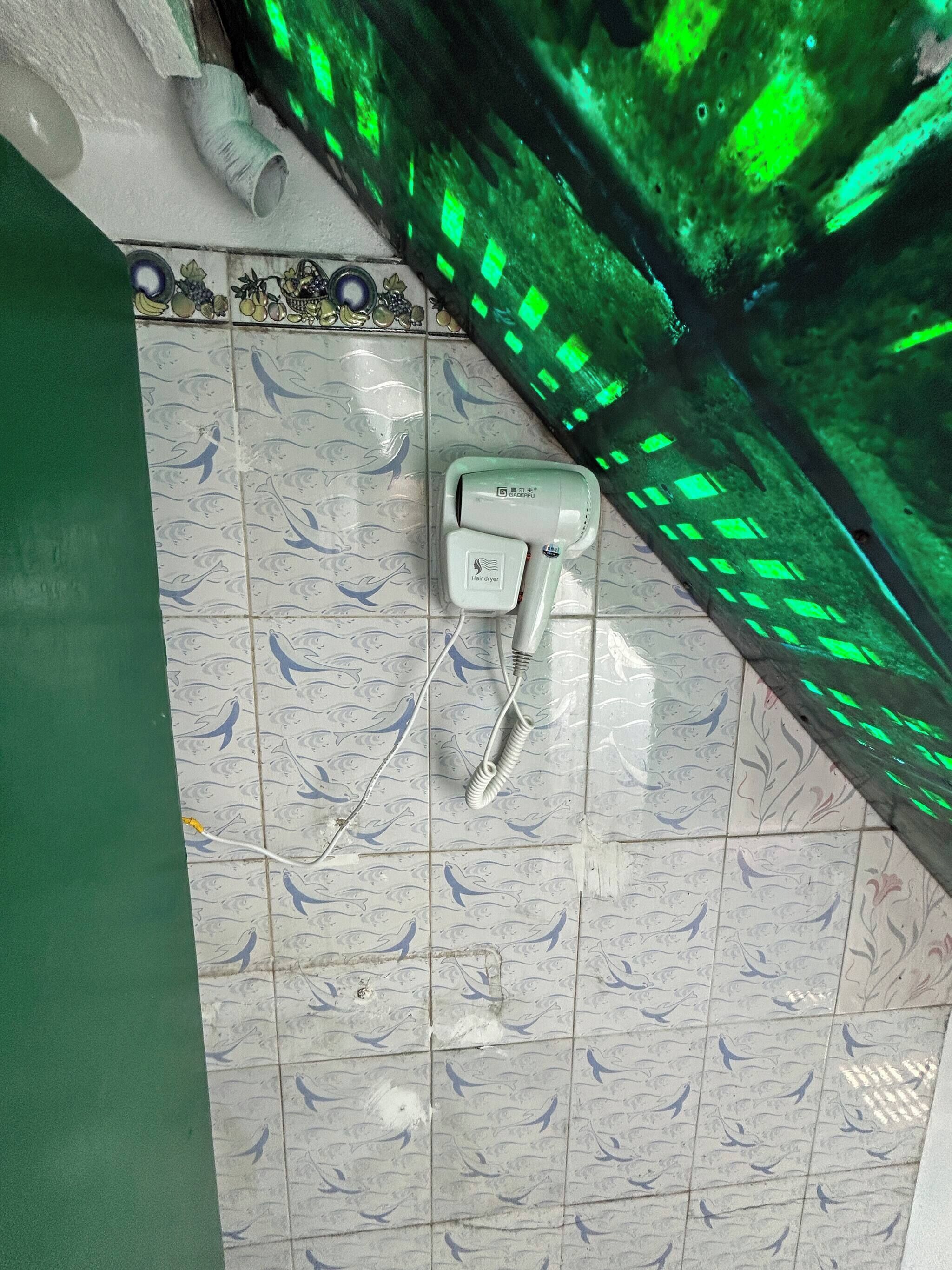 A tiled floor with a pattern of fish and a hairdryer on it.