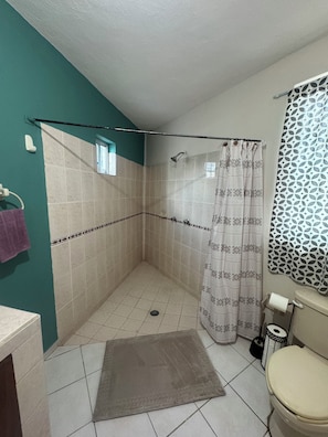 Sèche-cheveux, serviettes fournies, papier toilette