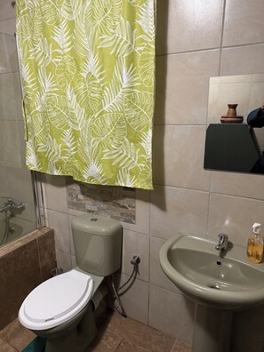 A bathroom with a toilet, sink, and shower area.