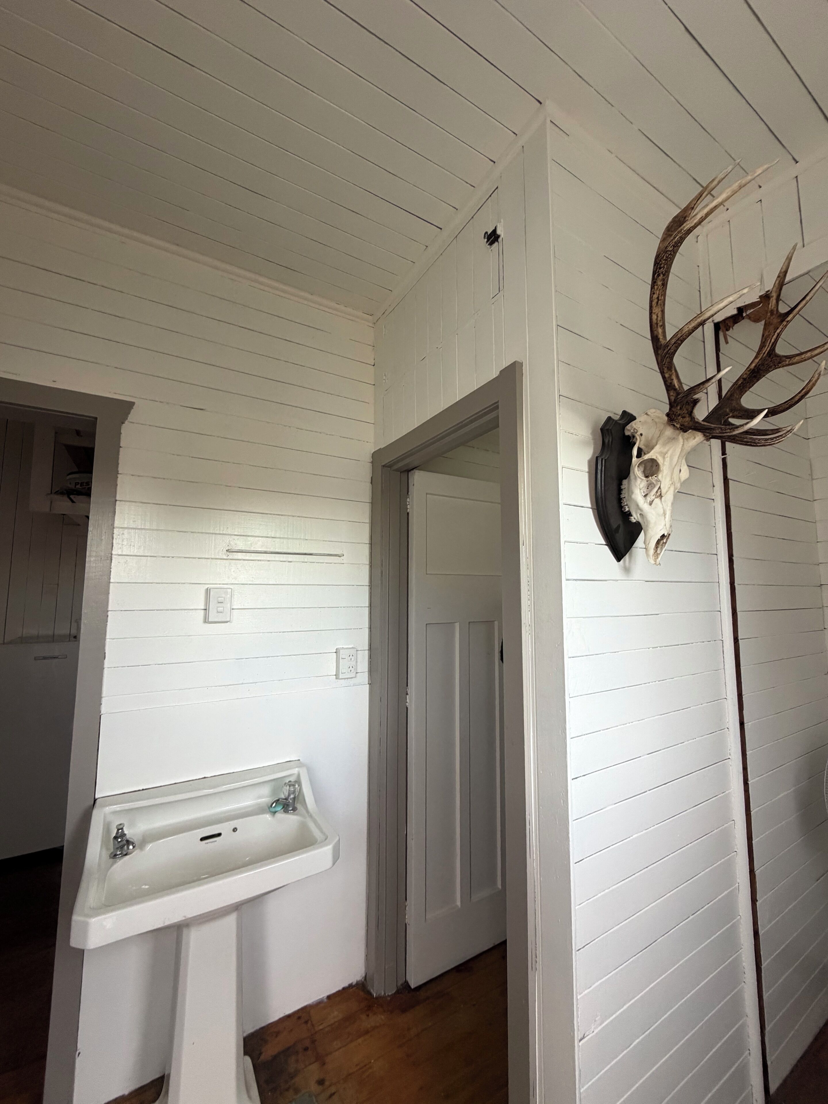A room with white paneled walls, a white door, a white sink, and a mounted deer skull with antlers.