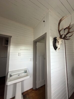 Una habitación con paredes blancas empapeladas, una puerta blanca, un lavamanos blanco y una calavera de venado con cuernos montada en la pared.