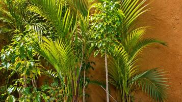 Une pièce avec un mur au style rustique, un tableau encadré, ainsi qu’une variété de plantes en pot et de roches.