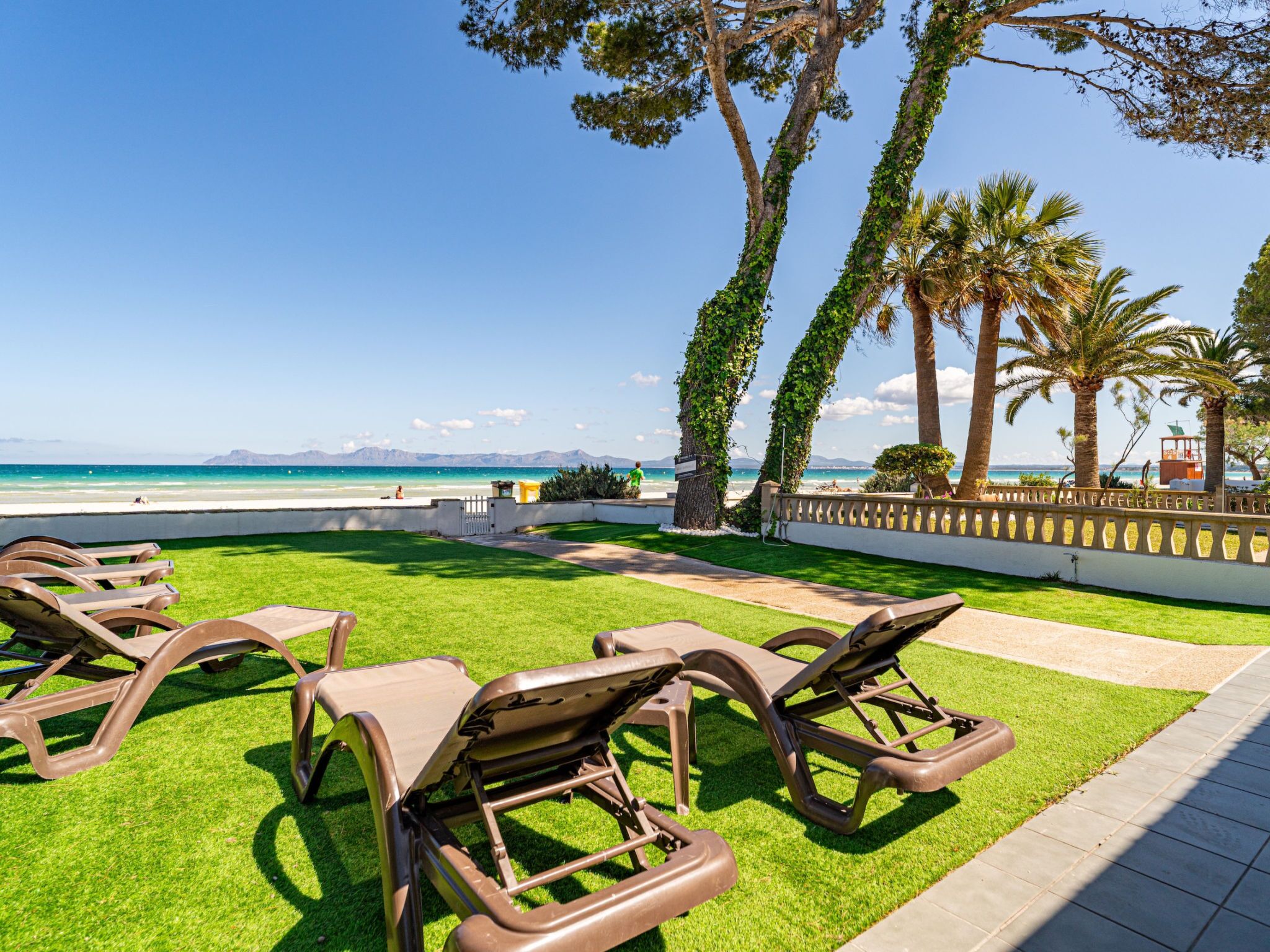 A beachside lounge area with sun loungers, a palm tree-lined pathway, and a view of the ocean.