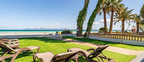 A beachside lounge area with sun loungers, a palm tree-lined pathway, and a view of the ocean.