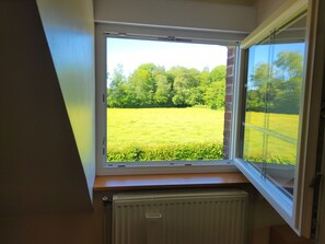 A room with a skylight window overlooking a green field.