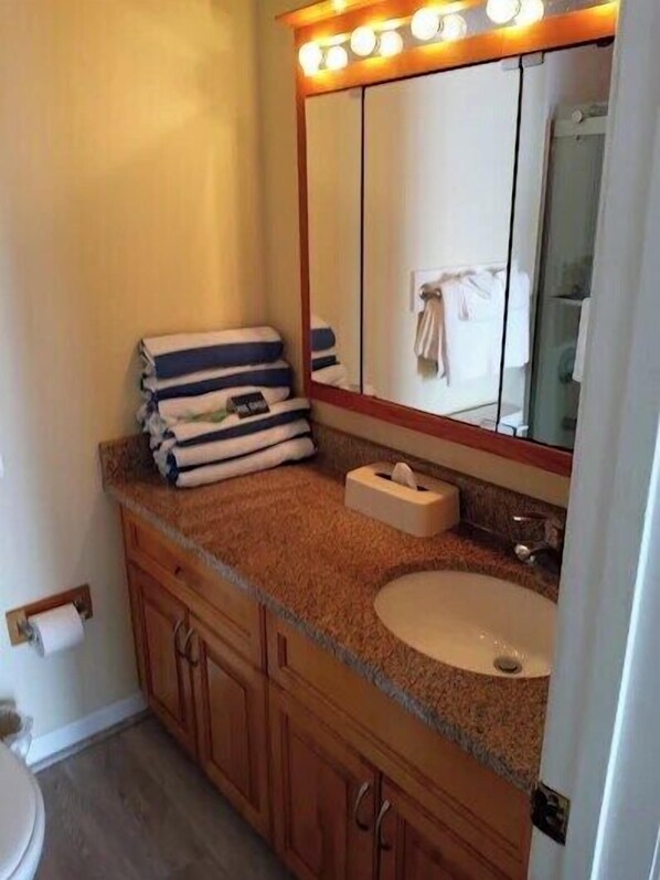 Bathroom - Stylish 1 BR Oceanview in Cocoa Beach (Cocoa Beach)