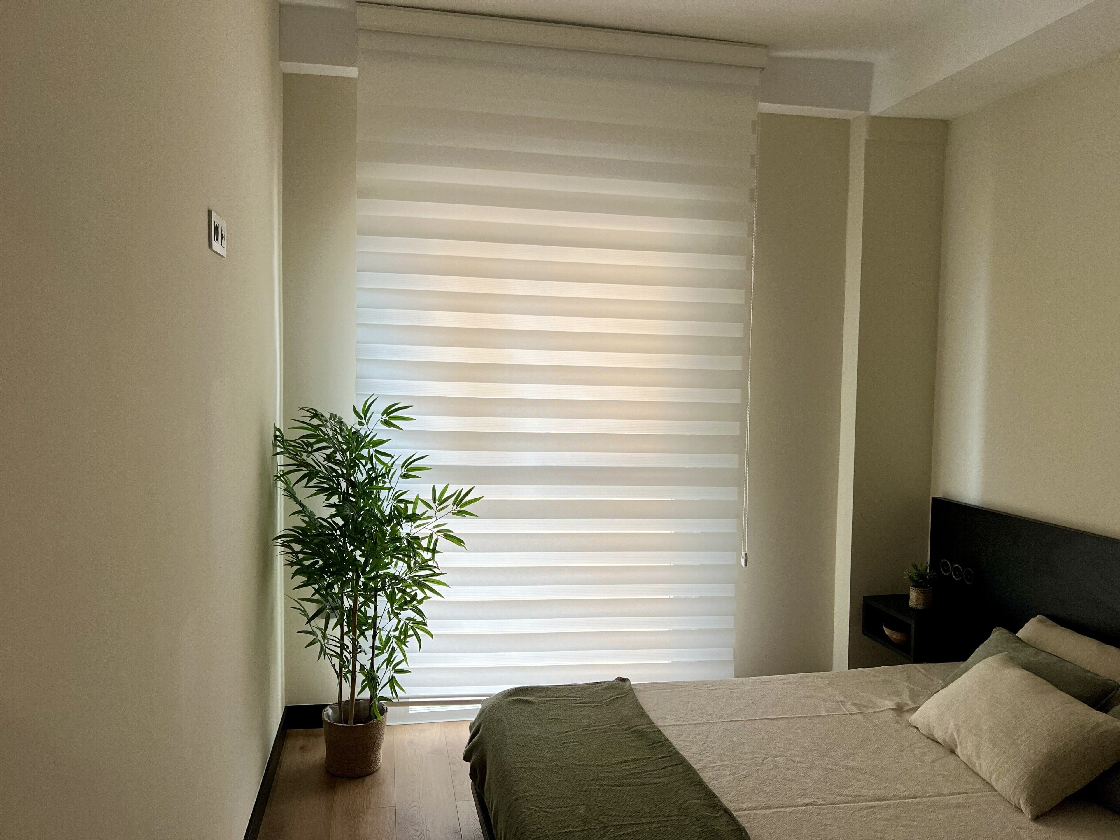 A bedroom with a bed, a potted plant, a nightstand, and a window with blinds.