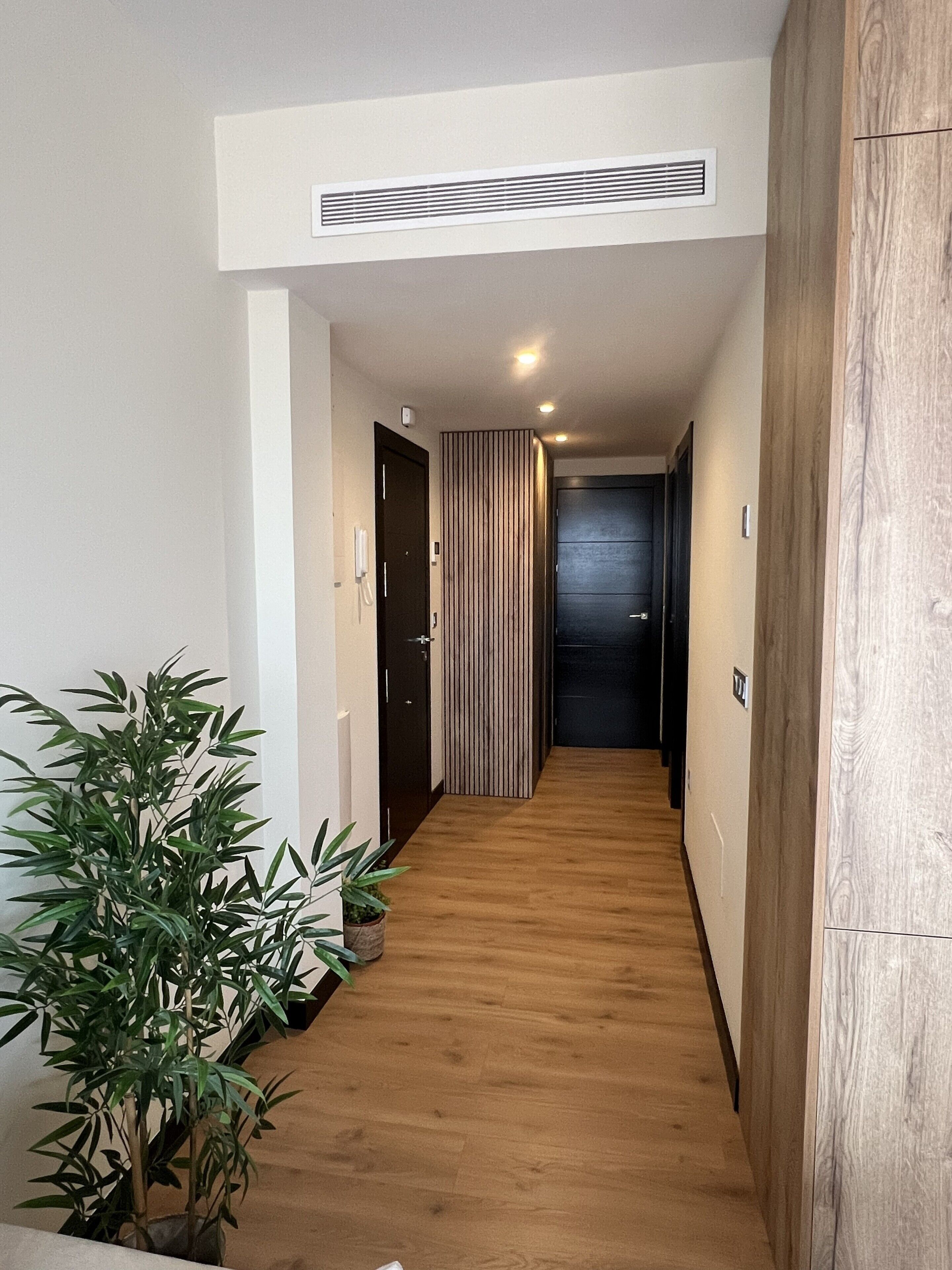 A hallway with a wooden floor, a potted plant, and a striped wall panel.