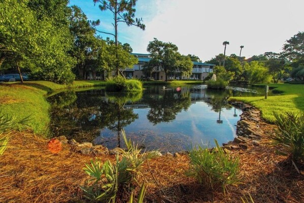 Unclassified image, 1 of 22, button - Ocean View 2BR Condo Steps from Beach (Hilton Head Island)