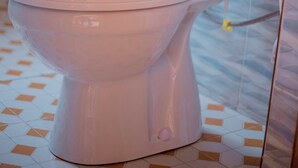 Jabón y papel de baño 