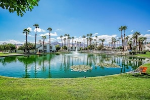 Ein Pool mit Palmen, einer Fontäne und einer Bank.