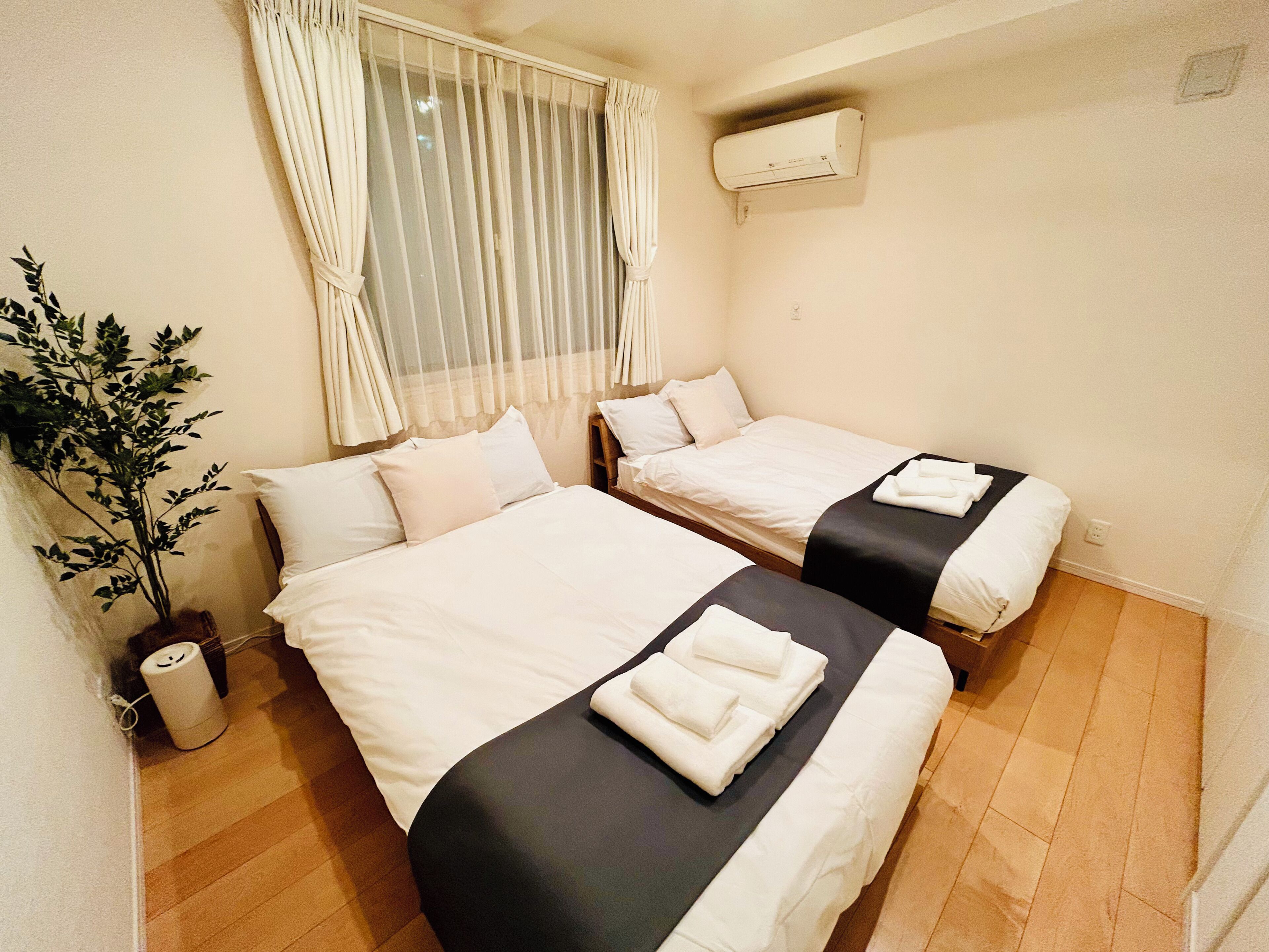 A hotel room with two beds, a potted plant, and an air conditioning unit.
