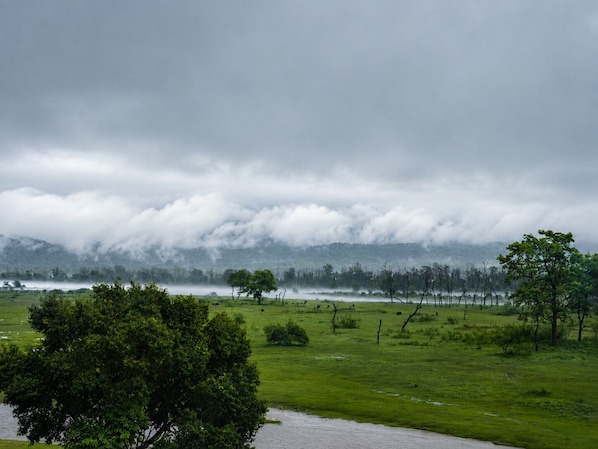 A landscape with a river, trees, and a cloudy sky.