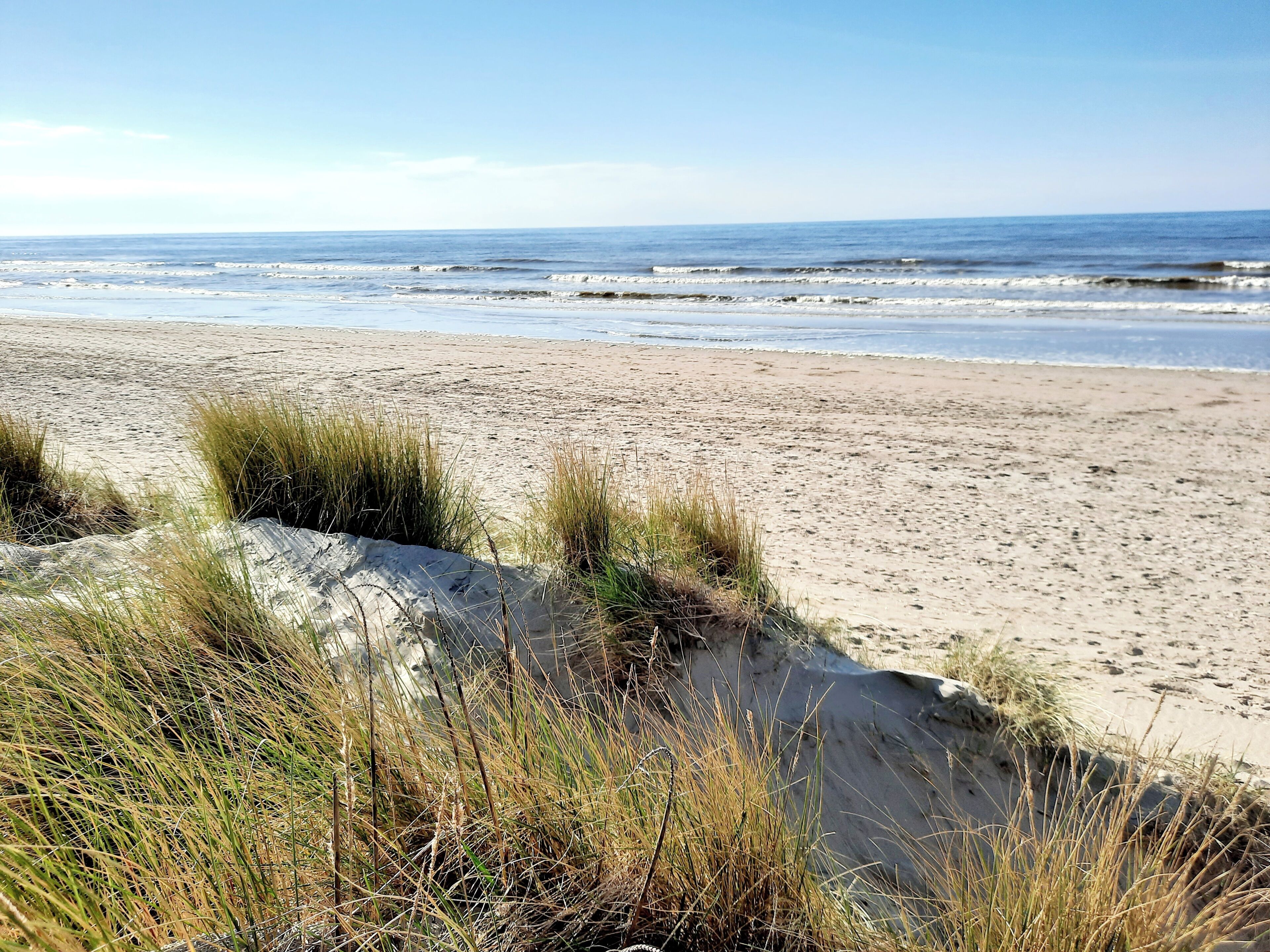 Ein Strand mit Dünen und Gras im Vordergrund.