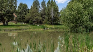 A tranquil pond surrounded by lush greenery and trees.