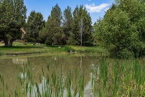 A tranquil pond surrounded by lush greenery and trees.