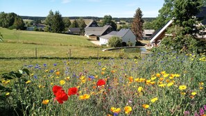 Property grounds - Vrbo Property (Marienberg)