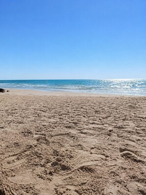 A beach with visible tire tracks and footprints in the sand.