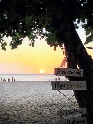A beach scene with a tree and signs that read 'Bienvenidos Playa Bonita' and 'Si Cuidamos Si Protegemos.' - Luxury Sky Retreat / Rooftop with Ocean View (Santa Marta City)
