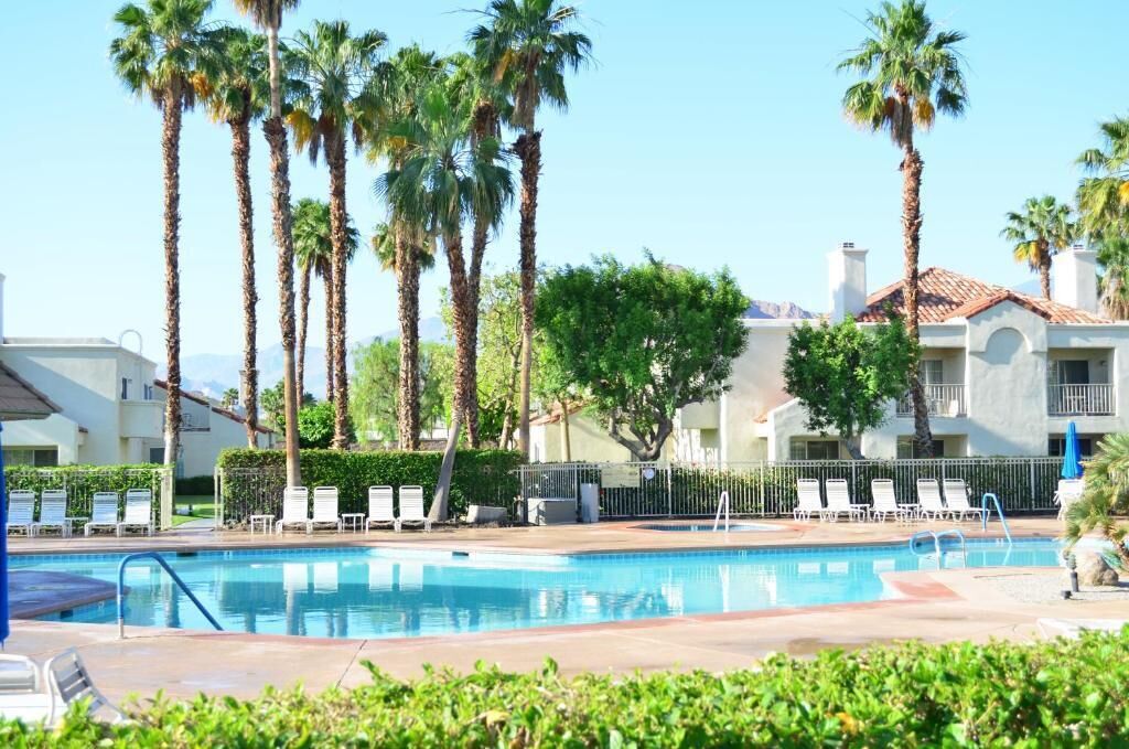 A pool area with lounge chairs and palm trees.