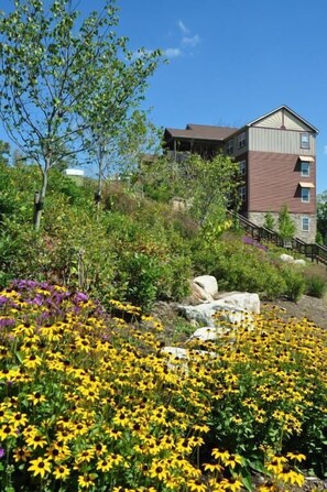 Un immeuble à plusieurs étages, doté d’une façade en pierre et d’un toit rouge, entouré d’un jardin aménagé où poussent des fleurs jaunes et violettes.