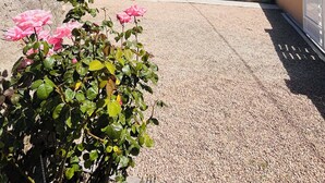 A stone building with a gravel driveway and a rose bush in the foreground. - Our traditional house with an enclosed courtyard, 3 km from the sea (Carneville)