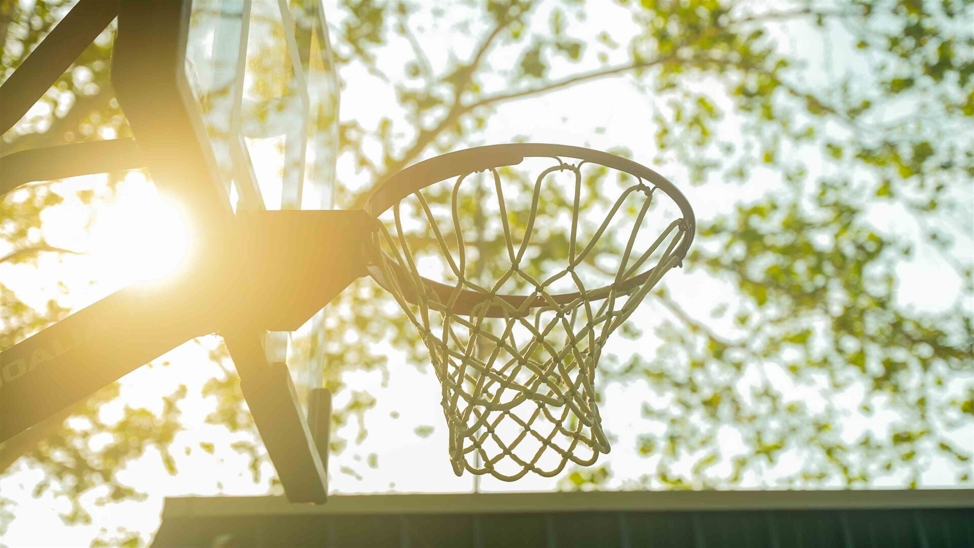 En basketballkurv med net foran et baggrund af træer og sollys.