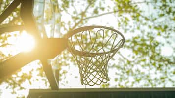 En basketballkurv med net foran et baggrund af træer og sollys.