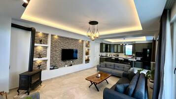 A modern living room with a flat-screen TV, a fireplace, a sofa, and a coffee table.