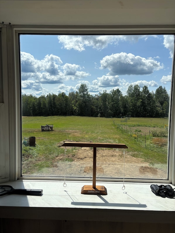 Una ventana con vista a un campo cubierto de hierba, un banco de madera y una balanza sobre una mesa.