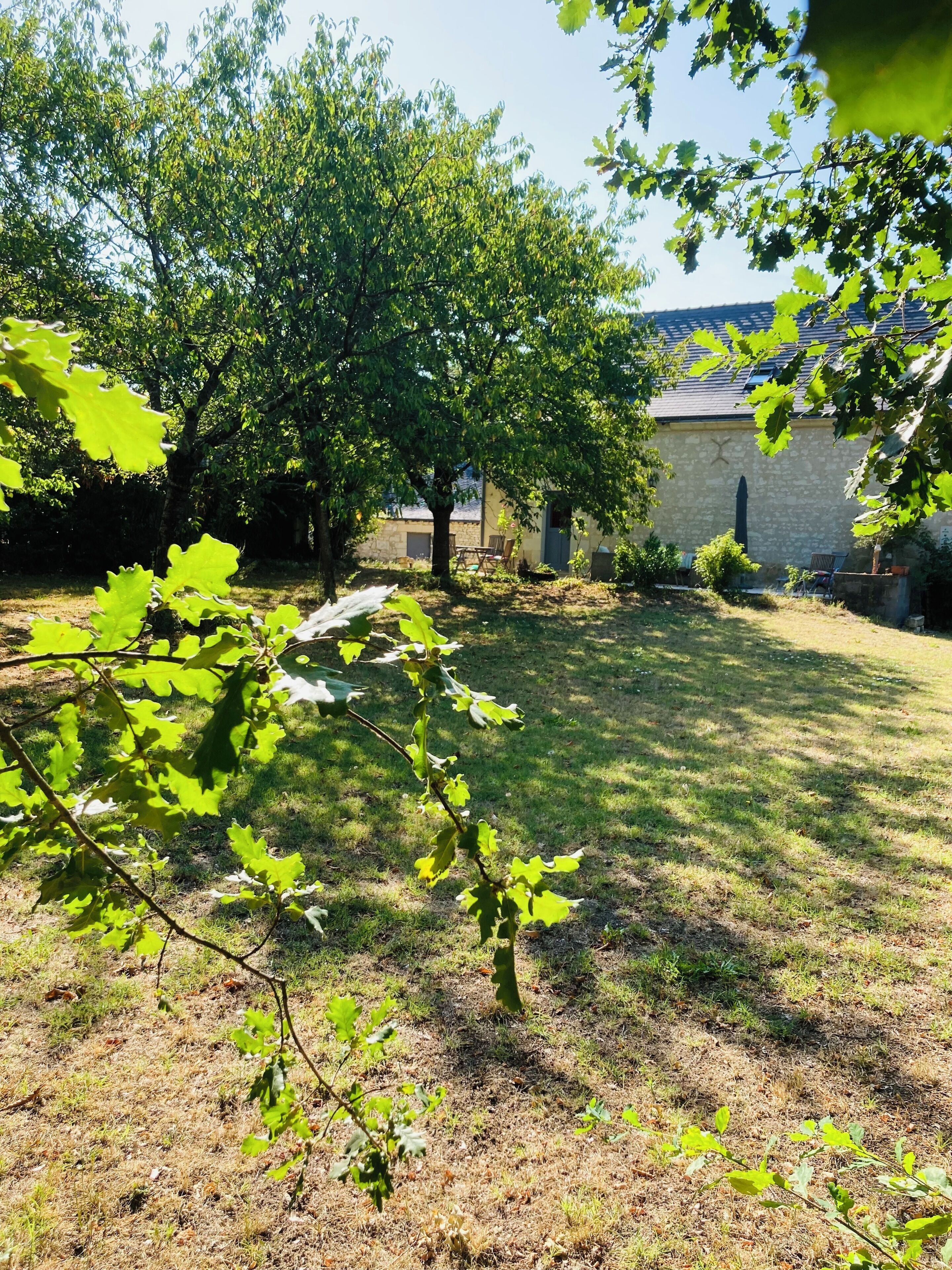 A backyard with a tree, a stone building, and a grassy area.