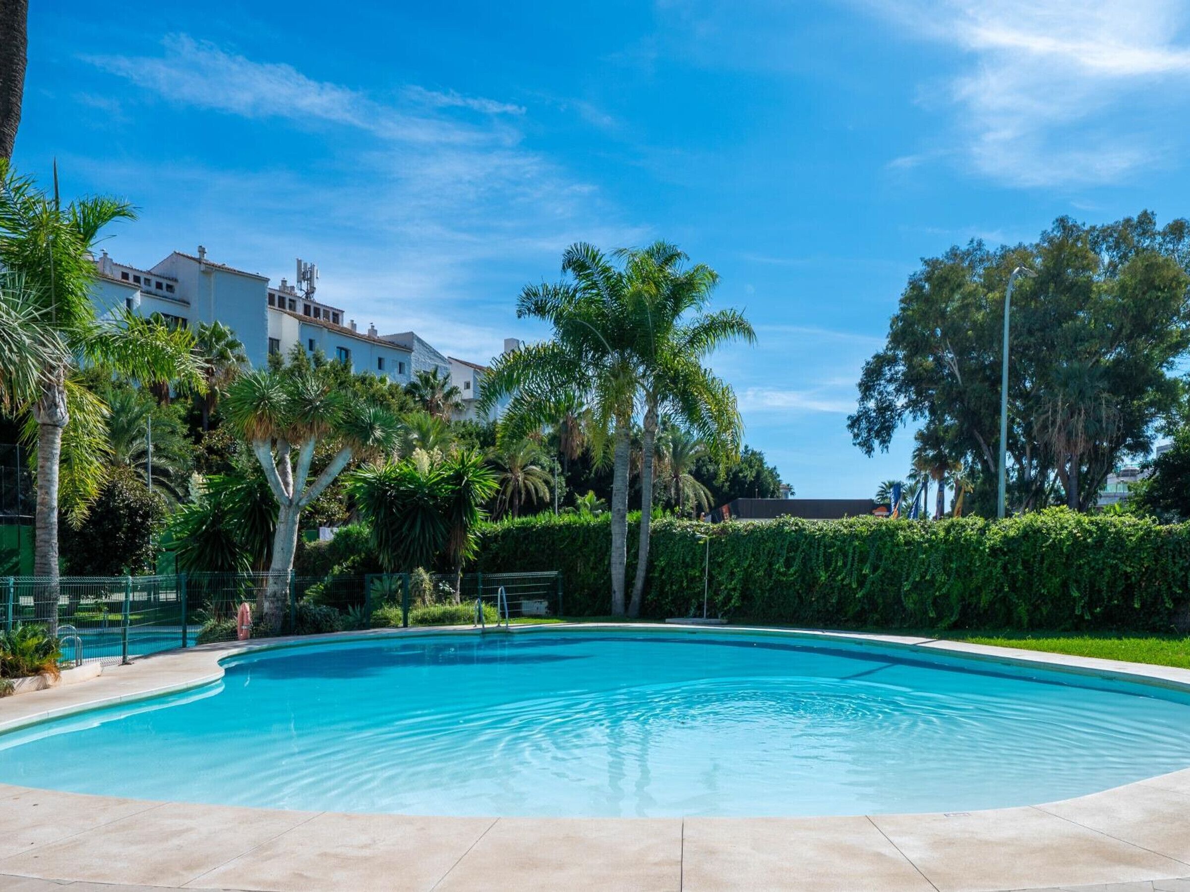 Una piscina rodeada de vegetación y edificios.