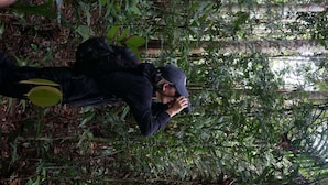 A person taking a photograph in a dense, green forested area with visible foliage and branches.