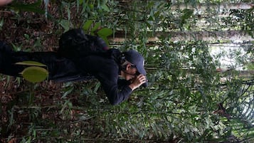 A person taking a photograph in a dense, green forested area with visible foliage and branches.