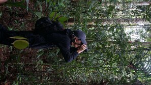 Une personne prend une photo dans une zone forestière dense et verdoyante, où l’on peut voir le feuillage et les branches.