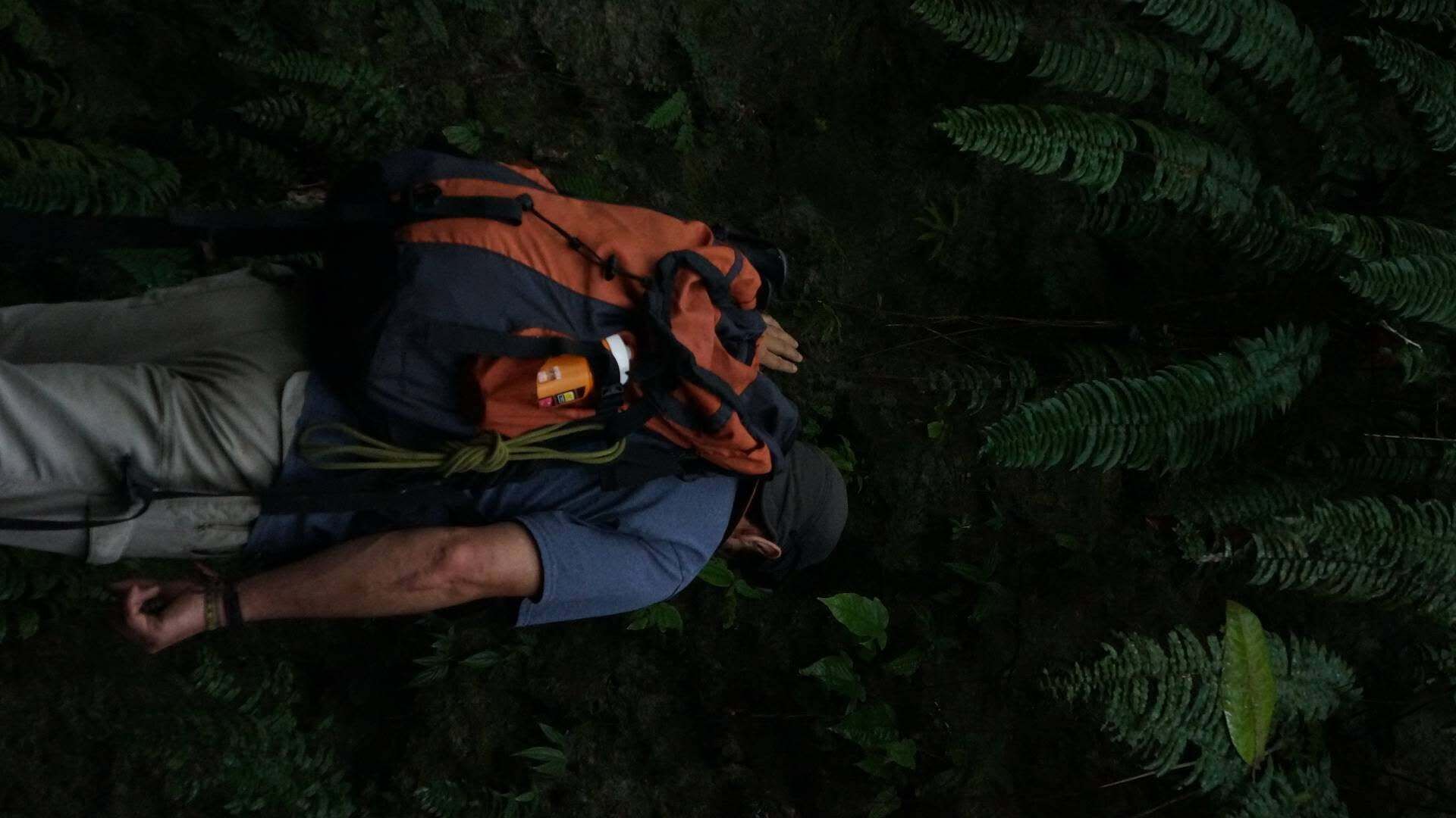 A person lying on the ground in a forest with ferns around.