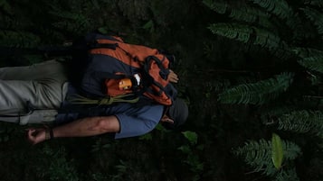 A person lying on the ground in a forest with ferns around.