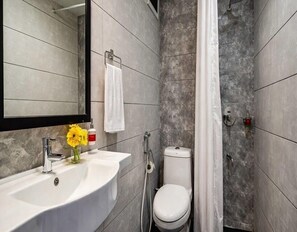 A modern bathroom with a white sink, a toilet, and a shower area. - Deluxe Room sn Bliss Premium Ladies pg (Bengaluru)