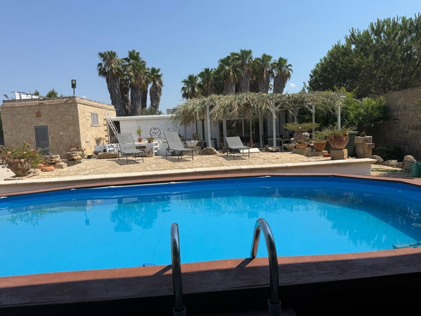 A swimming pool with a wooden deck and lounge chairs, surrounded by potted plants and palm trees.