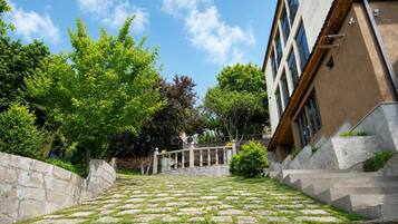 Un escalier en pierre mène à un bâtiment à la façade moderne, entouré de verdure et d’arbres.